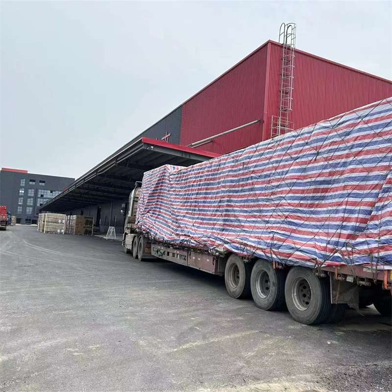 荔波县渝中区物流：多元服务与运输线路探秘
