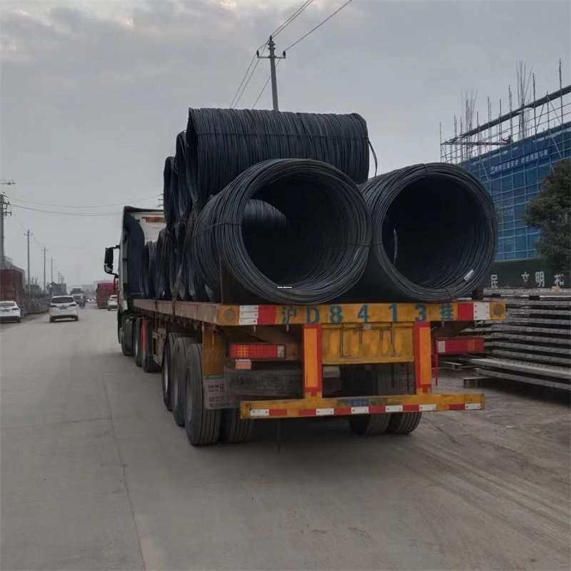 荔波县丽江市物流运输：多元服务与高效线路探秘